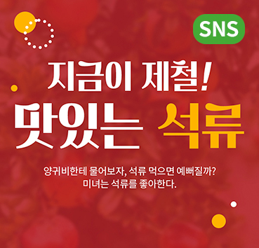 sns
